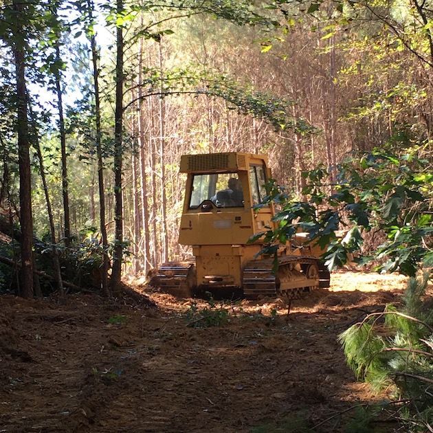 bulldozer creating fire lanes for forestry management