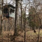Tower Deer Stand