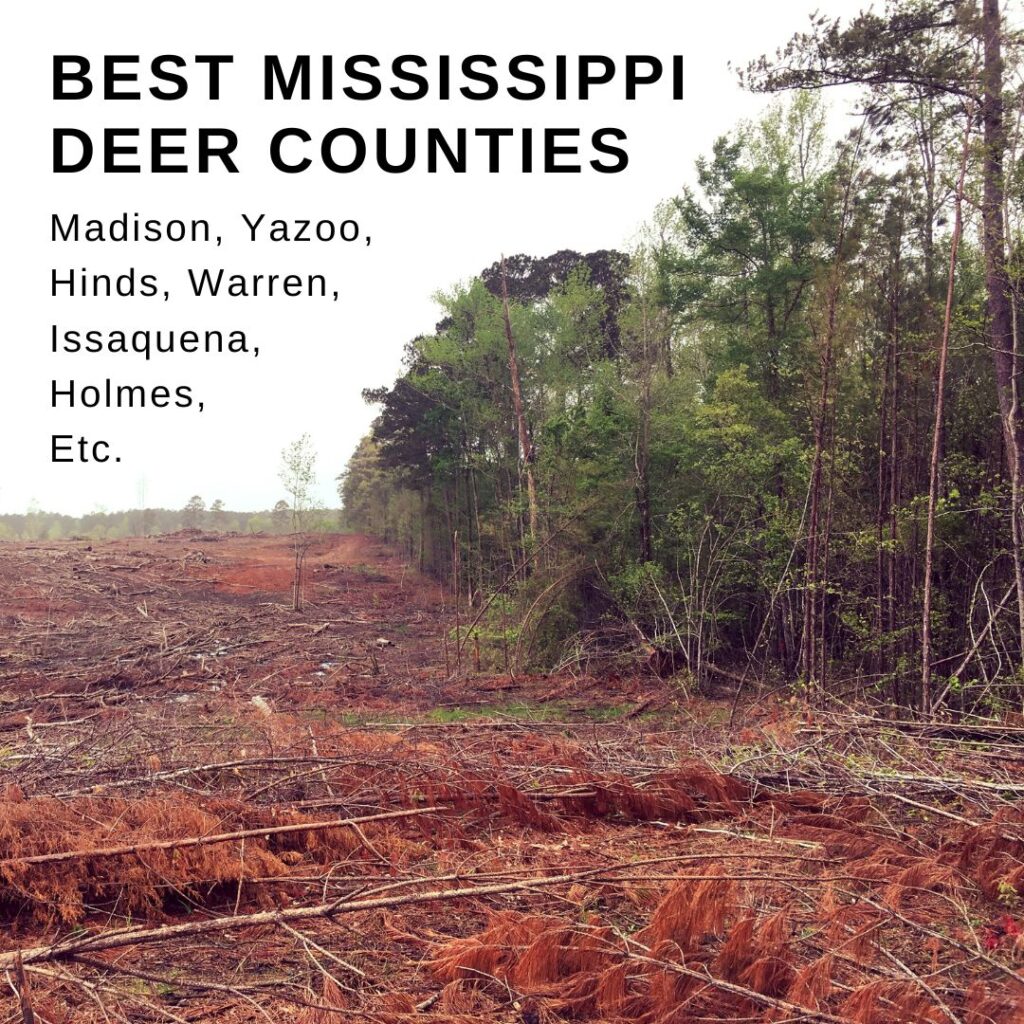 Best Mississippi Deer Counties